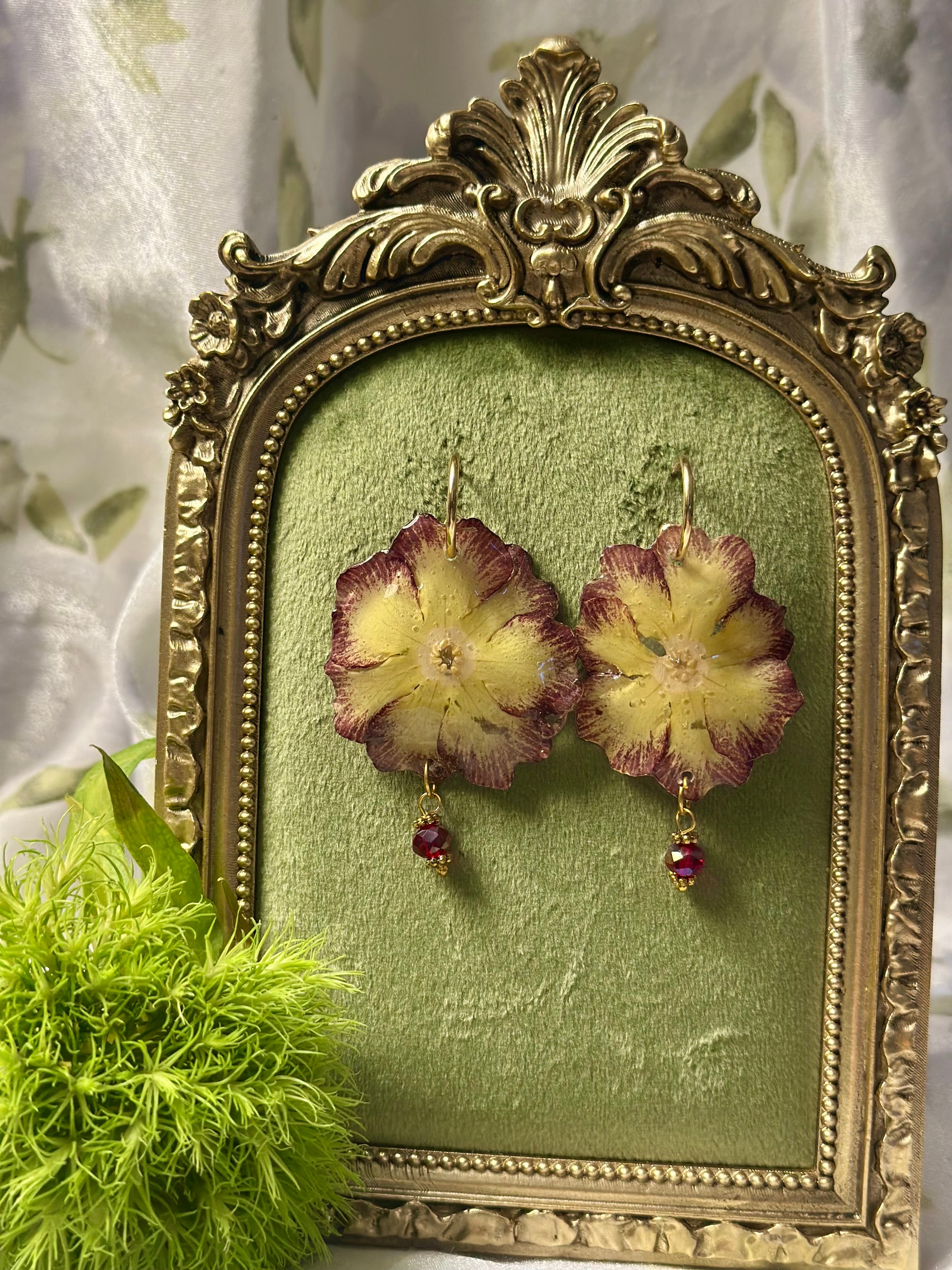 Velvet Primrose